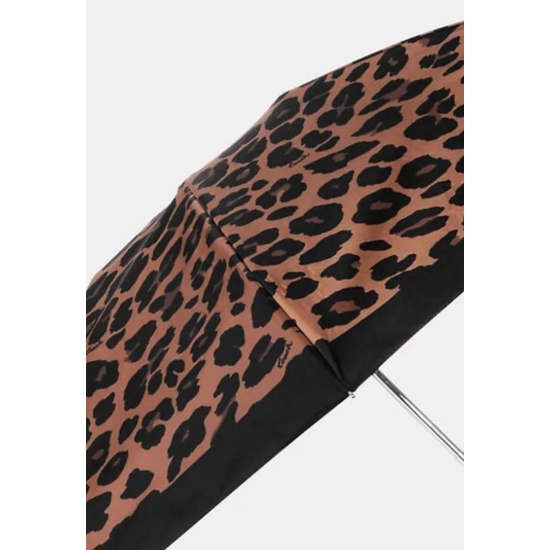 🎁在台囉🤩剛抵台💞最新款 特價哦 COACH 狂野 豹紋 雨傘 折傘