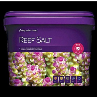 波蘭AF 海水素 Reef Salt SPS用/22KG 速溶