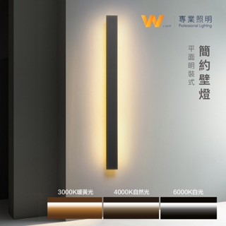 台灣製造 LED 客製化 簡約壁燈 含稅附發票 110V 220V 線條燈 燈條燈管 可訂製長度