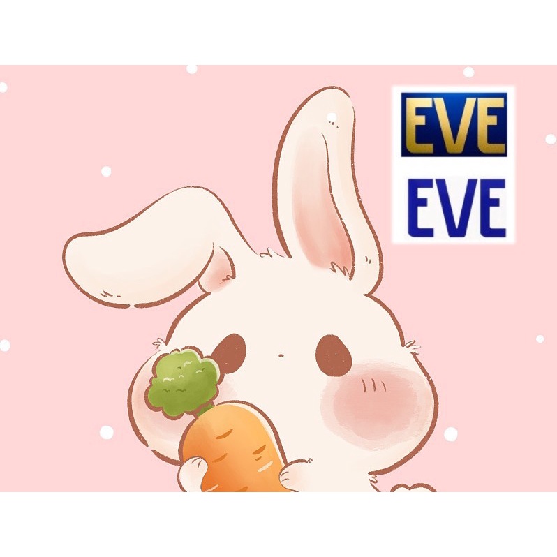 日本代購 現貨 EVE 藍兔 白兔 金兔 金40 白60 玩偶