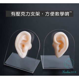(臺灣現貨)採耳教學專用的耳朵模型之柔軟矽膠/練習模型