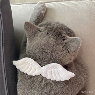 貓項鍊 寵物項鍊 天使翅膀寵物項圈 無敵可愛貓項圈