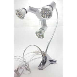 鹿角蕨LED植物燈全光譜LED36W/54W雙燈型/三燈型超亮植物投射燈 補光燈 植物生長燈 多肉植物補光