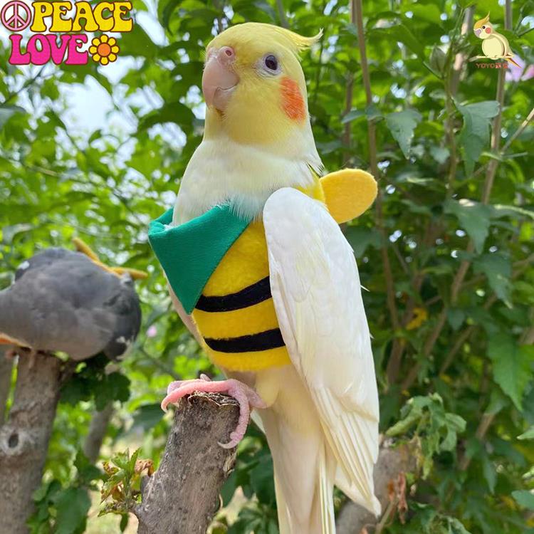 🐶米樂寵物用品🐶玄鳳鸚鵡飛行服可定制牡丹虎皮中小型遛鳥衣保暖立體可調節放飛服