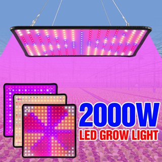 Led 生長燈 220V 全光譜植物燈 110V 量子板植物生長照明水培溫室系統種植帳篷