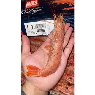 阿根廷天使紅蝦L1（大）2kg