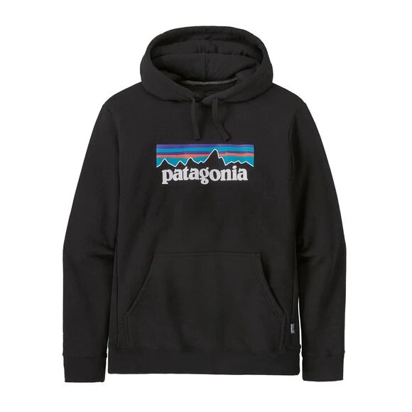 【24pain.gain】現貨 PATAGONIA P-6 LOGO HOODIE 帽T