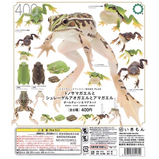 [御宅族] IKIMON 代理 扭蛋 轉蛋 NTC 黑斑側褶蛙與日本樹蛙與雨蛙磁鐵&吊飾 全6種 現貨 黑斑蛙