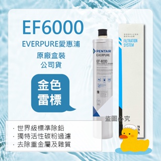 【愛惠浦】 ef6000 ef-6000 全流量 強效 碳纖維 濾芯 濾心 淨水