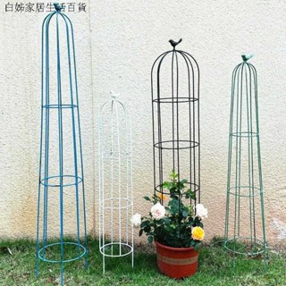 支撐桿 園藝花架 鐵藝花柱攀爬架 鐵線蓮架子 綠蘿月季花架 盆栽爬藤架 鳥籠造型支架杆