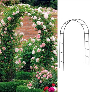花架 戶外花架 鐵線蓮月季爬藤架 拱形拱門花架爬藤架 攀爬綠植物支架杆 葡萄架 戶外庭院