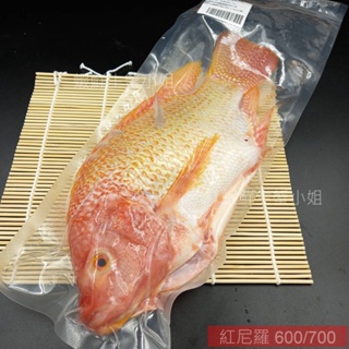 【海鮮7-11 】紅尼羅魚(台灣紅鯛) 約600-700克區間/隻 🚩外觀美、肉質佳，富含蛋白質 **單隻170元**