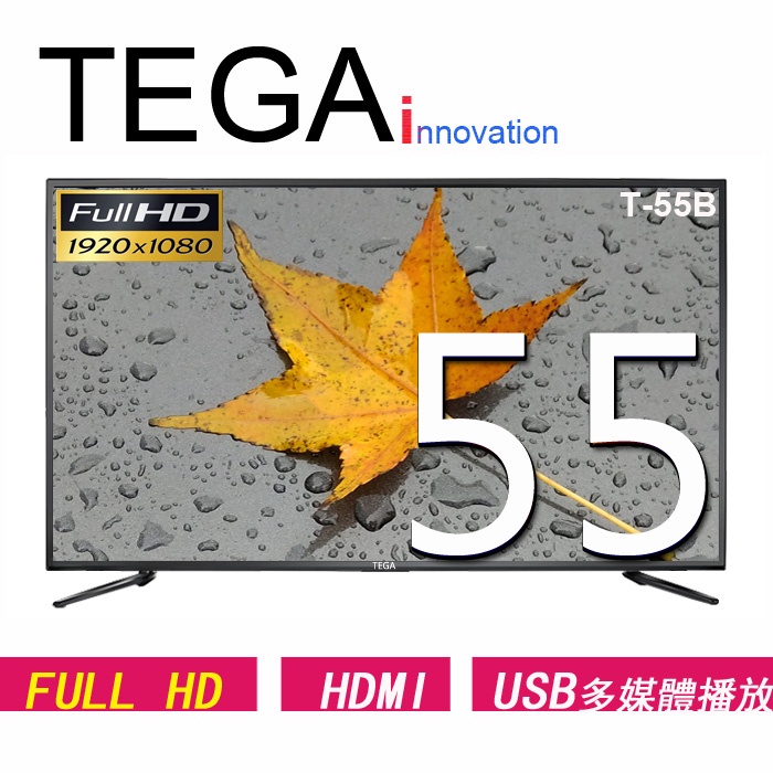 TEGA 55吋 多媒體液晶電視顯示器 (T-55B) 全新機