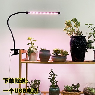 植物燈 多肉補光 增色燈 定時USB夾子式上色全光譜LED花卉盆景植物燈生長燈