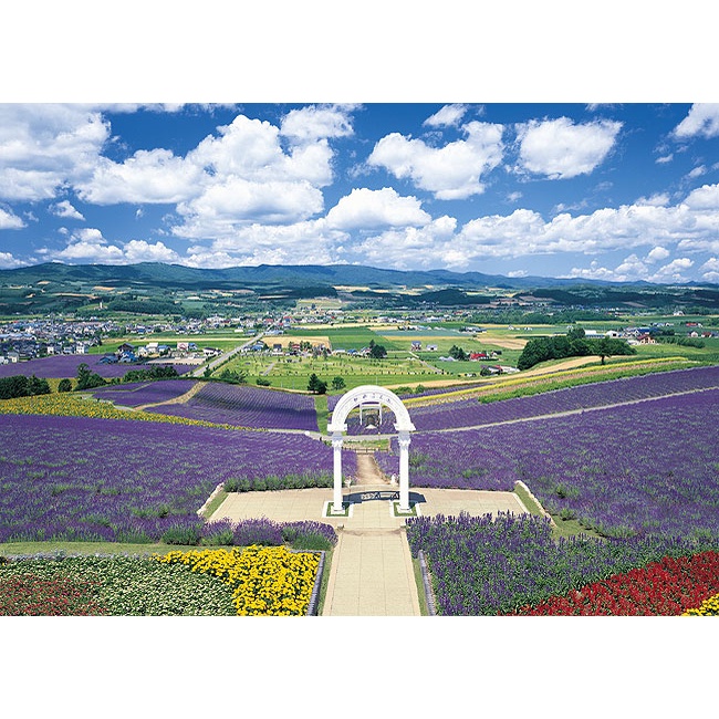 21-509 絕版迷你3000片日本正版拼圖 風景 北海道 開花的富良野之丘