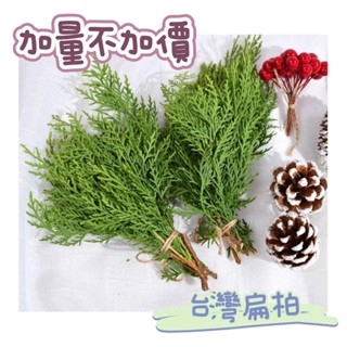 現貨🔺臺灣松柏 乾燥花 龍柏 永生花 森林系包裝 扁柏 聖誕樹 花環DIY材料 手工藝 裝飾 花束 花材 松柏
