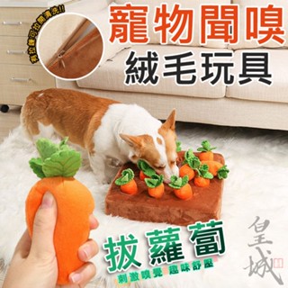 【在臺現貨 當天寄出】拔蘿蔔玩具 寵物嗅墊 拔蘿蔔毛絨玩具 蘿蔔玩具 訓練嗅覺 狗狗嗅墊 貓狗玩具 寵物玩具 寵物拔蘿蔔