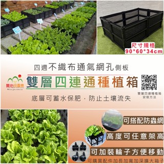 育材種植箱 雙層四連通箱 架高一節 防蟲網 免彎腰組合 種菜箱 組合式種植箱 陽臺種菜 種菜神器
