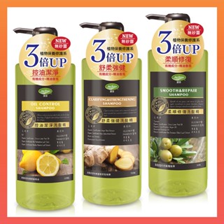 【Jie Fen潔芬】植物修復系列洗髮精500ml(控油潔淨/舒柔強健/柔順修復)【來貝嚴選商鋪】