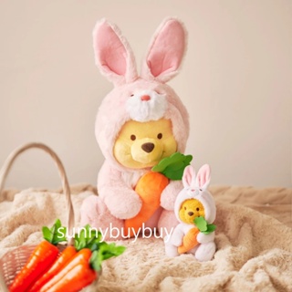 日本迪士尼 2023 兔年維尼 娃娃 生肖維尼 小熊維尼 粉紅維尼 新年維尼