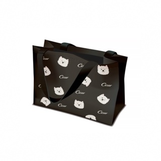 【西莎】黑色環保提袋(43x37x15cm)