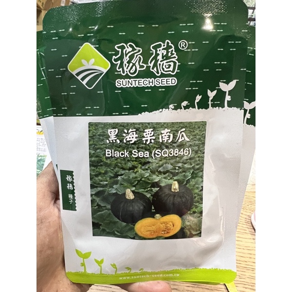 原包裝 100粒 黑海栗子南瓜種子 🔥露天栽培品種 黑海栗南瓜種子 栗子南瓜種子 栗南瓜種子 日本栗子南瓜種子 黑海種子