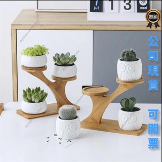 桃園出貨 免運 多肉花架 園藝花架陽臺花架小型盆栽架 桌面花架多功能 桌面裝飾架 首飾展示架桌面迷你竹架 花架置物架小盆