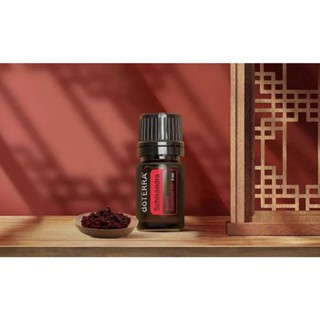 多特瑞 五味子精油 5ML 稀少精油 2026/2 強化和保護 改善睡眠的品質
