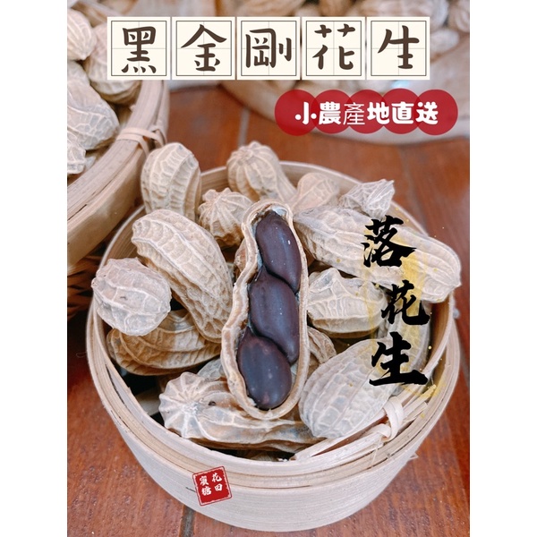 新 2023年冬豆 當季 北港黑金剛花生 🥜 粒粒有仁 雲林元長名產 過年  喜氣 送禮 帶殼花生 泡茶聊天必備