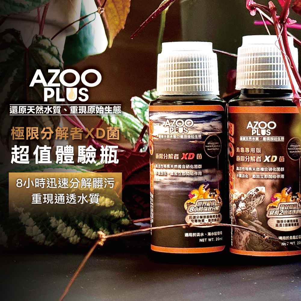 【AZOOPLUS】極限分解XD體驗罐 污泥 排泄 有毒物質 藍綠藻 褐藻 開缸菌 淨化水質 老缸維護 硝化菌