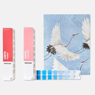 [新封面] PANTONE GP5101C CMYK 四色印刷 – 銅版紙 & 模造紙