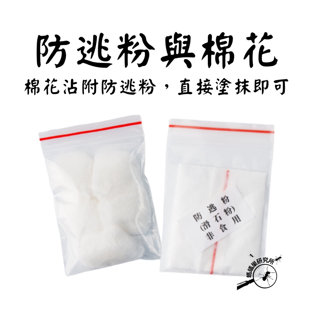 【螞蟻巢研究所】一般防逃粉+棉花 螞蟻飼養用品/養螞蟻/螞蟻窩