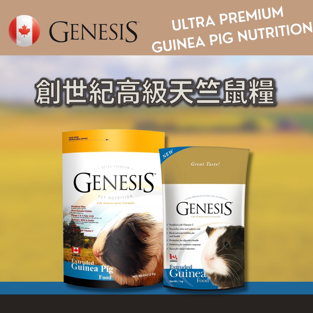 【現貨】🔜快速出貨🚚 Genesis 創世紀 高級天竺鼠食譜 天竺鼠飼料 成天飼料 天竺鼠主食 天竺鼠糧