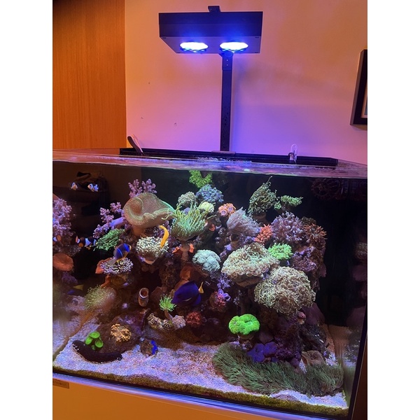 「二手」AI AquaIllumination LED Hydra 26 含吊架