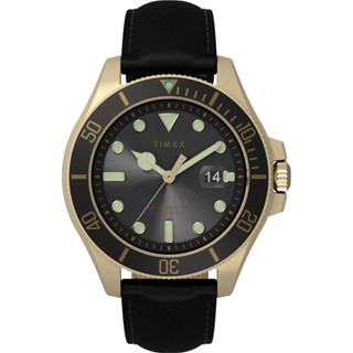 【TIMEX】天美時 風格系列 43 毫米金色調經典手錶 (黑x黑 TXTW2V42200)