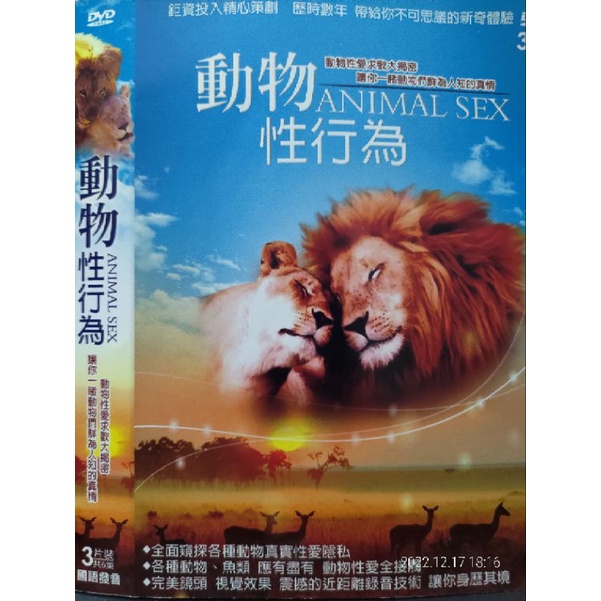 二手DVD電視劇正版動物性行為國語發音中文字幕全套一大盒裝3碟片共六集輔導級節目全長300分鐘