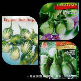 泰國綠紋圓茄2品種 (種子)