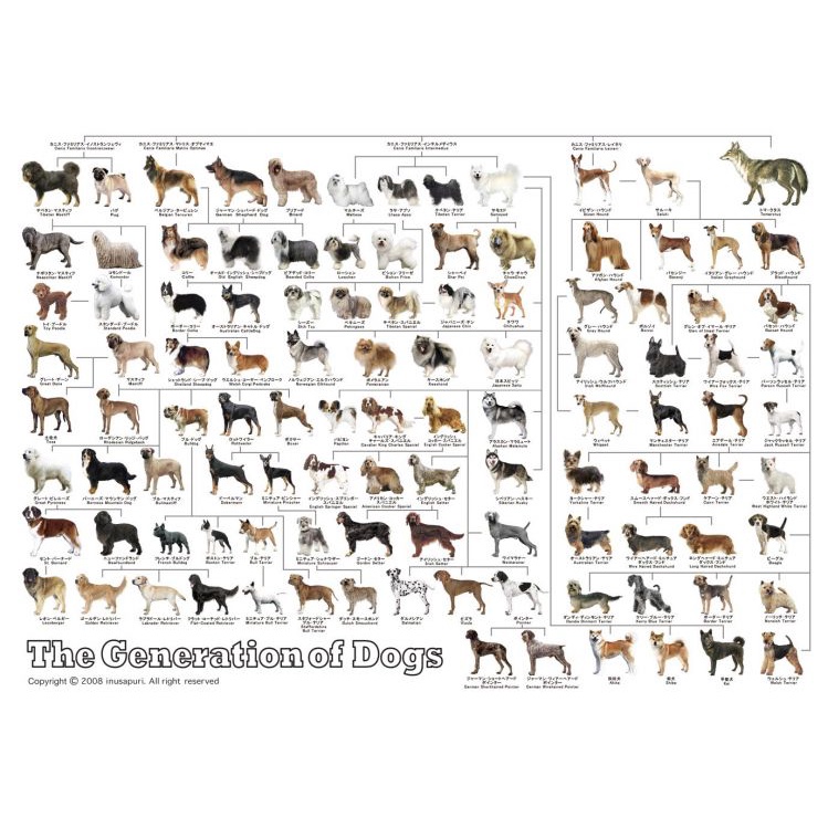 21-106 絕版迷你3000片日本正版拼圖 狗 犬的系統圖