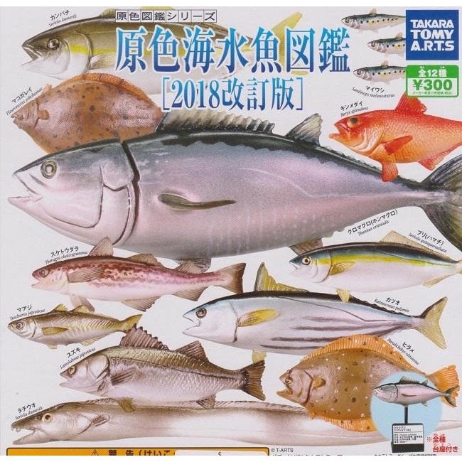 【我愛玩具】T-ARST (轉蛋)原色海水魚圖鑑2018改訂版 全12 種整套販售
