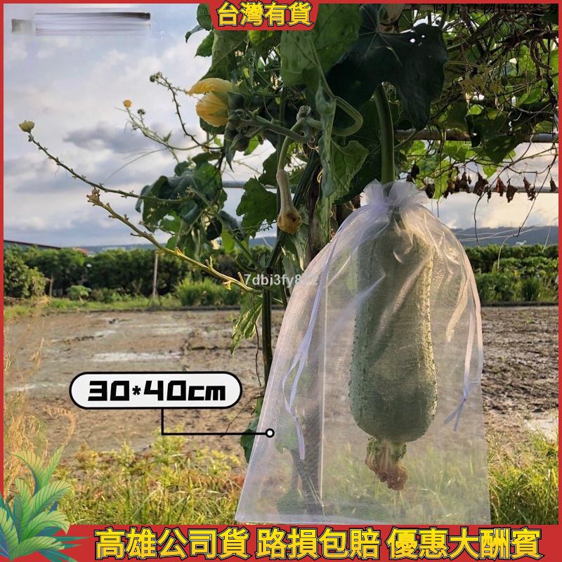 【桃園出貨+附統編】大尺寸25*35～40*60cm雙拉繩紗袋 絲瓜套袋 苦瓜套袋 雪紗袋 茄子套袋 素色束口袋 瓜果紗