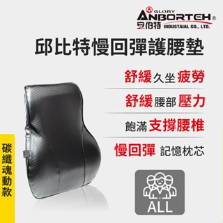 【安伯特】邱位元慢回彈護腰墊-碳纖魂動款 (靠墊 靠枕 腰枕)【小豪汽車百貨】