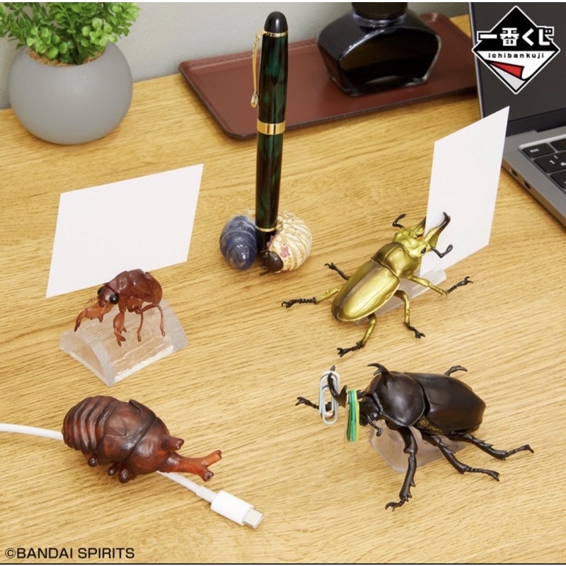 世界的昆蟲博物館 一番賞 H賞K賞  蟬蛹 獨角仙 昆蟲桌上小物