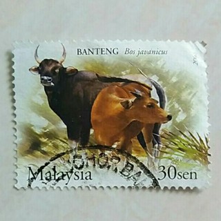 馬來西亞郵票 2004 年馬來西亞森林野生動物文騰 30 美分使用