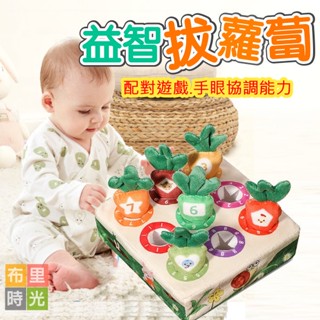 【臺灣現貨】嬰兒拔蘿蔔玩具 早教益智拔蘿蔔 認知配對遊戲 學習啟蒙玩具 顏色數字配對 寵物玩具