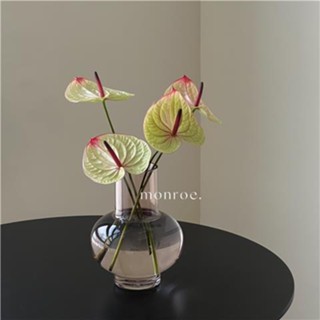 monroe家居粉色玻璃花瓶ins簡約客廳桌面模擬紅掌歐式裝飾品插花