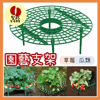 園藝支架【臺灣現貨】草莓高架 花卉適用 陽臺種菜架 草莓支架植物爬藤 草莓種植架 種草莓 園藝神器【P0261】