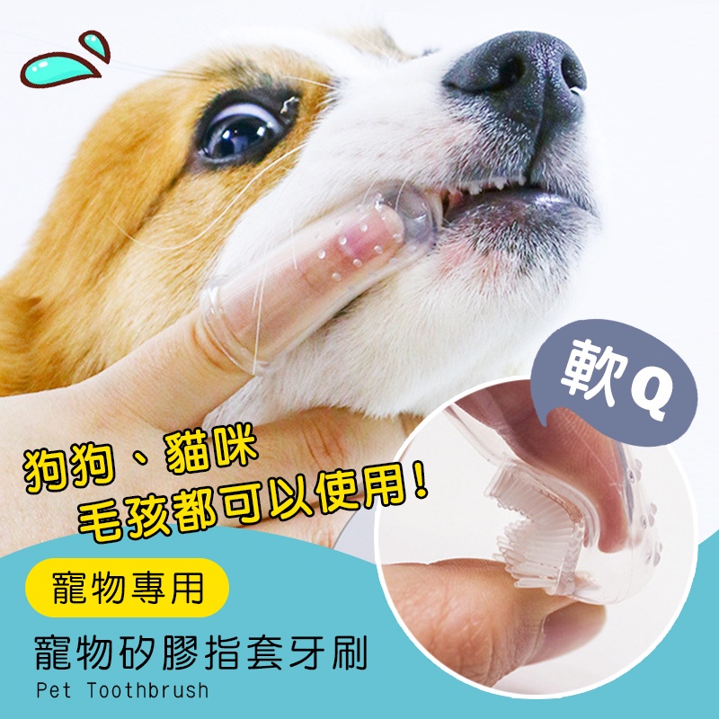 【寵物用清潔指套牙刷(單支)】寵物牙刷 指套牙刷 狗牙刷 手指套 狗狗洗牙 寵物指套牙刷 貓刷牙