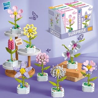💫24小時快速出貨 <積木盆栽花/積木花卉/多種花款>