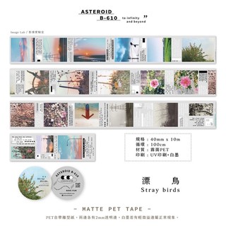 ◎分裝◎ Asteroid B-610 小行星 PET 膠帶 漂鳥