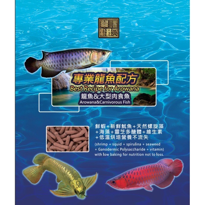 專業龍魚配方飼料/飼料/龍魚/大型魚/500g大包裝